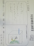Rimg0738