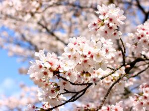 4月の目標:給食を楽しく食べよう 4月の目標:給食を楽しく食べよう