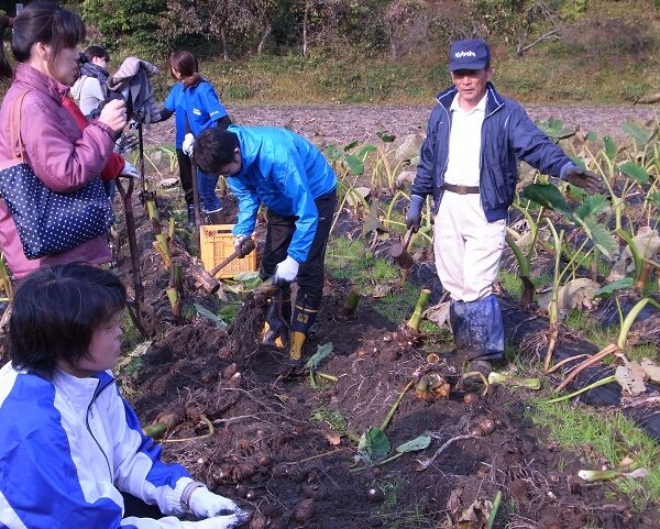 学校給食用さといも現地視察・意見交換会