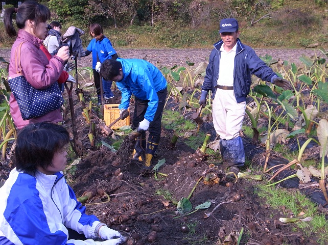 学校給食用さといも現地視察・意見交換会