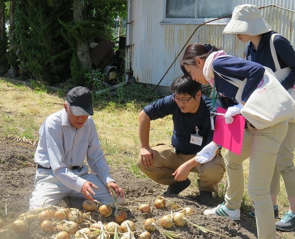 2017年度学校給食用玉ねぎ現地視察・意見交換会