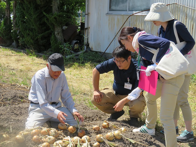 2017年度学校給食用玉ねぎ現地視察・意見交換会