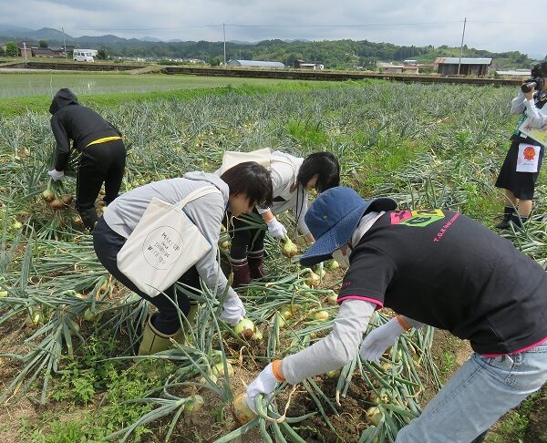 2019年度学校給食用玉ねぎ現地視察・意見交換会