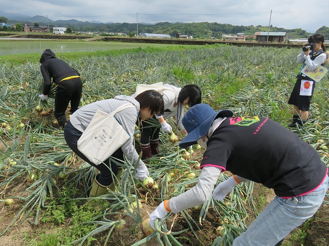 2019年度学校給食用玉ねぎ現地視察・意見交換会