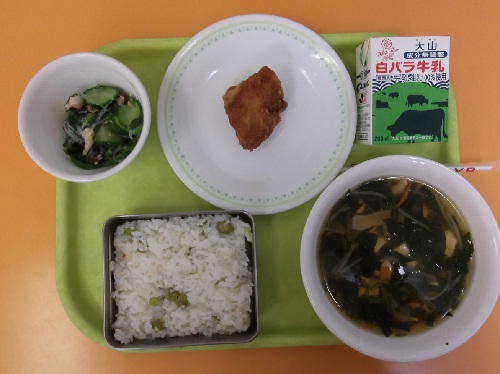 鹿野地域　2012.06.27