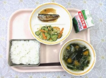 鳥取地域(第1センター) 2024.6.28 鳥取地域(第1センター) 2024.6.28