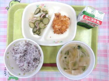 河原・用瀬・佐治地域 2024.8.22 河原・用瀬・佐治地域 2024.8.22